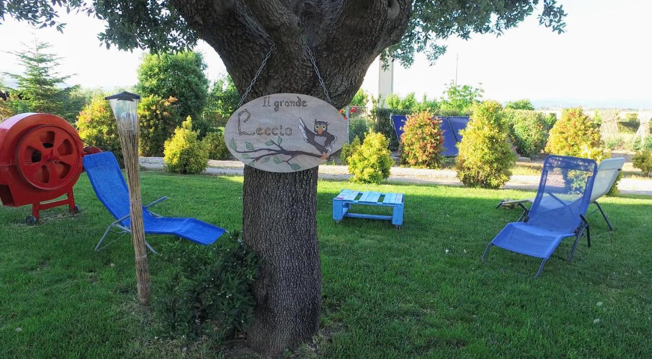 Agriturismo Il Cuscino Nel Pagliaio กัมปีลยา มาริตติมา ภายนอก รูปภาพ