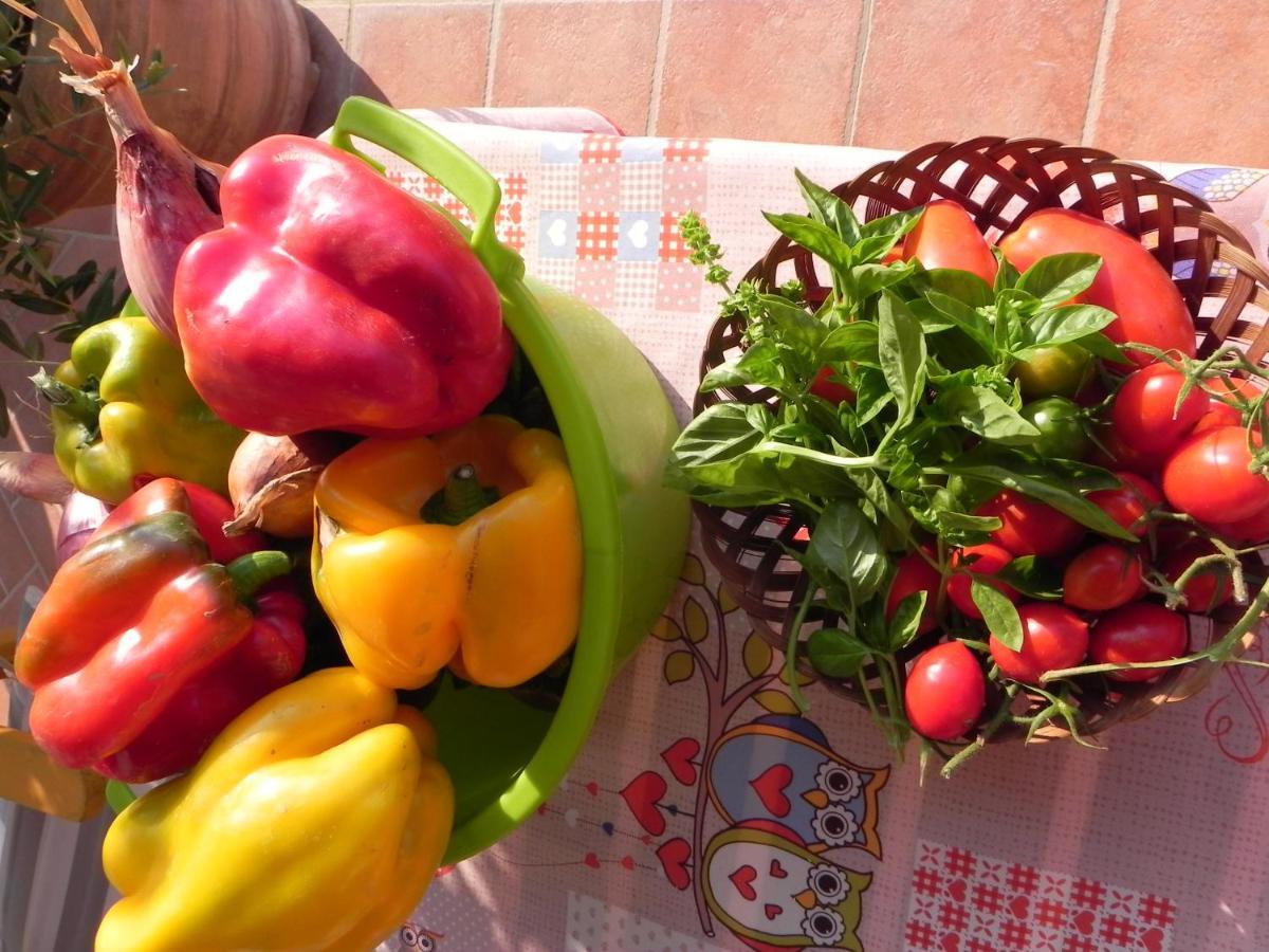 Agriturismo Il Cuscino Nel Pagliaio กัมปีลยา มาริตติมา ภายนอก รูปภาพ