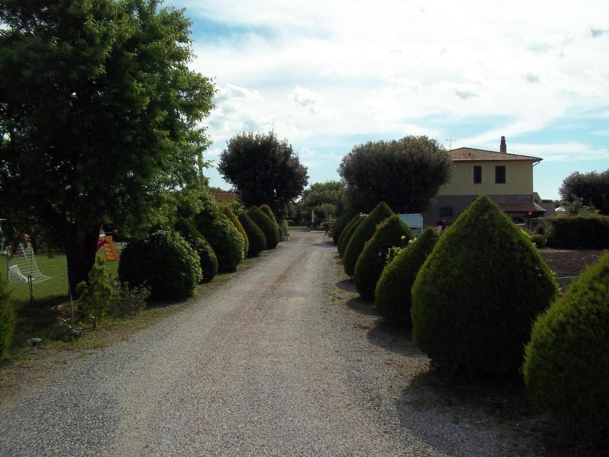 Agriturismo Il Cuscino Nel Pagliaio กัมปีลยา มาริตติมา ภายนอก รูปภาพ