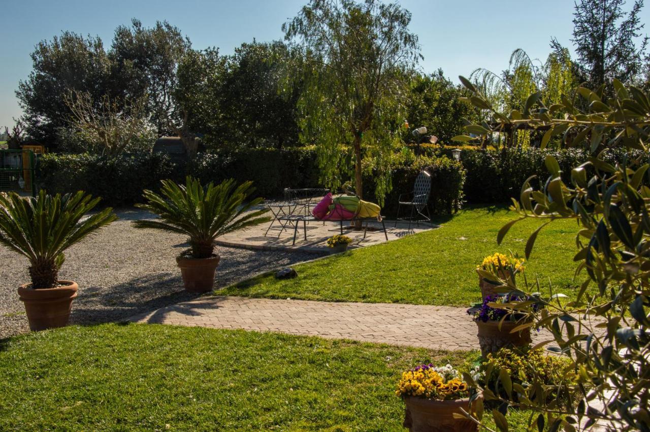 Agriturismo Il Cuscino Nel Pagliaio กัมปีลยา มาริตติมา ภายนอก รูปภาพ